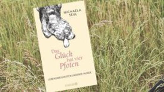 Buchtipp No31 Das Glück hat vier Pfoten